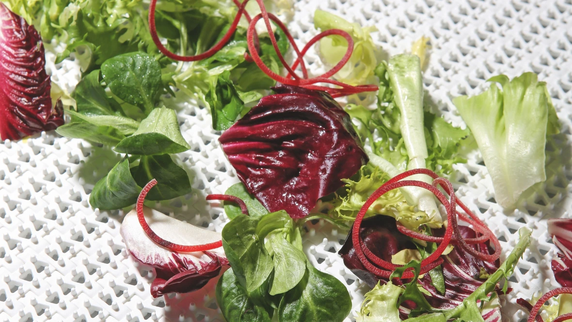 Lettuce on a modular belt